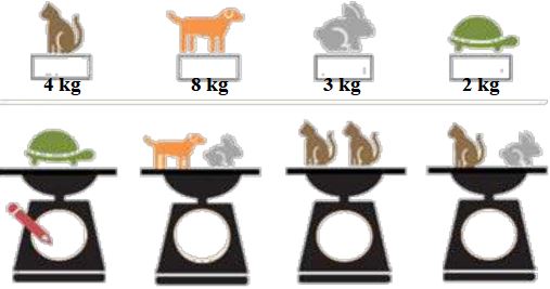 Đề thi học kì 2 lớp 2 môn Toán trường Tiểu học Bùi Thị Xuân, Bình Thuận năm 2021 - 2022