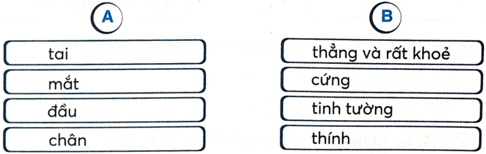 Bài 10: Khủng long