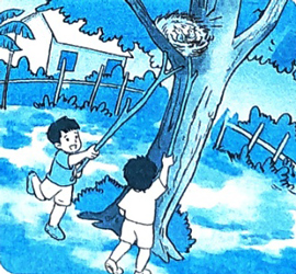 Bài 15: Những con sao biển