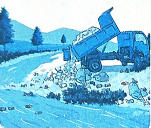 Bài 15: Những con sao biển