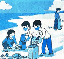 Bài 15: Những con sao biển