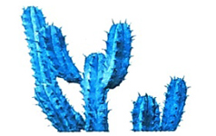 Bài 16: Tạm biệt cánh cam