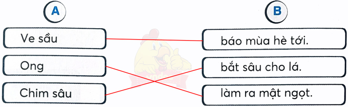 Bài 16: Tạm biệt cánh cam