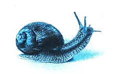 Bài 16: Tạm biệt cánh cam