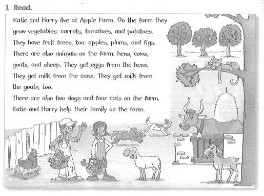 Family and Friends 3 Workbook Unit 11 Lesson 5