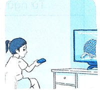 Bài 20: Từ chú bồ câu đến In-tơ-nét