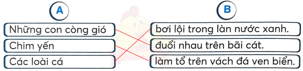 Bài 28: Khám phá đáy biển ở Trường Sa