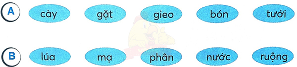 Bài 30: Cánh đồng quê em