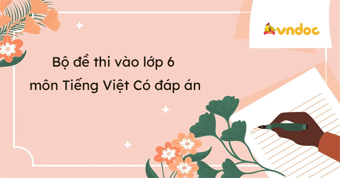 Bộ đề thi vào lớp 6 môn Tiếng Việt năm 2026 - 2027 Có đáp án