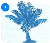 Bài 3: Ngày hôm qua đâu rồi?