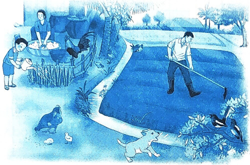 Bài 1: Tóc xoăn và tóc thẳng