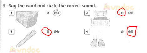 Family and Friends 3 Workbook Review 4