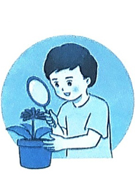 Bài 4: Cái bàn học của tôi