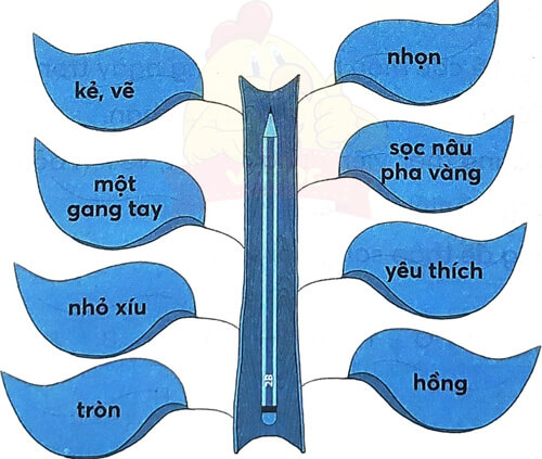 Bài 2: Thời khóa biểu