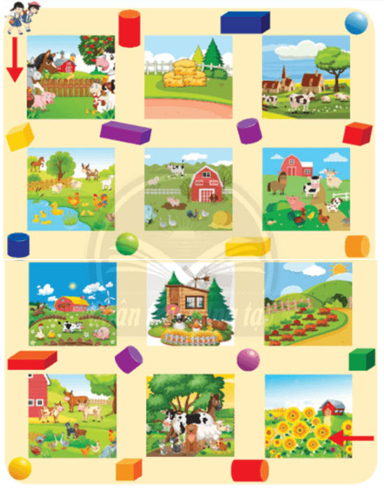 Vui học: Trang 69 SGK Toán lớp 2 Tập 2