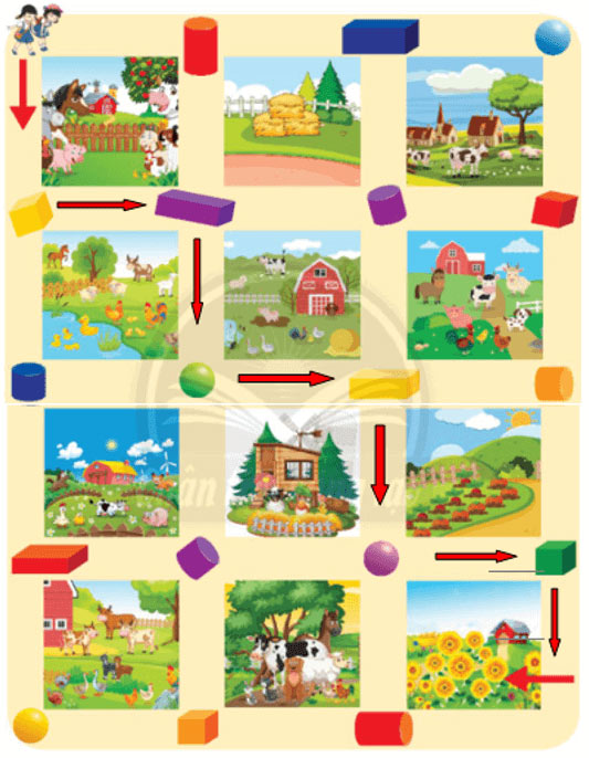 Giải Toán lớp 2 Tập 2 trang 66, 67, 68, 69 Khối trụ - khối cầu