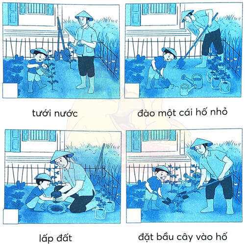 Bài 2: Rừng ngập mặn Cà Mau