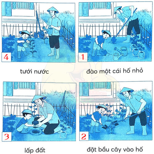 Bài 2: Rừng ngập mặn Cà Mau