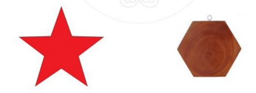 Bài 11 trang 103 Toán 6 tập 2 SGK Cánh Diều