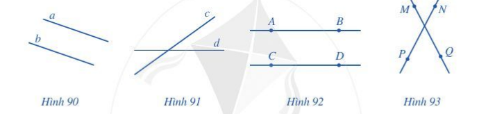 Bài 2 trang 102 Toán 6 tập 2 SGK Cánh Diều