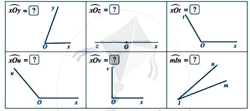 Bài 6 trang 101 Toán 6 tập 2 SGK Cánh Diều