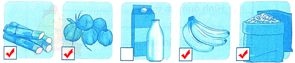 Ôn tập giữa học kì 2 - Ôn tập 5