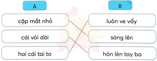 Ôn tập giữa học kì 2 - Ôn tập 5