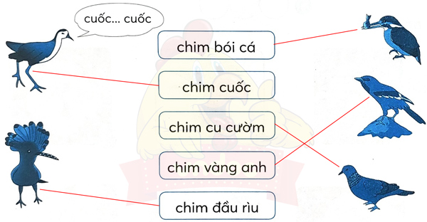 Bài 1: Chuyện quả bầu