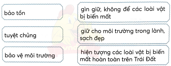 Bài 4: Hừng đông mặt biển