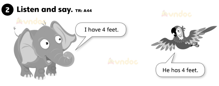 Giải Tiếng Anh lớp 1 Unit 4 My body trang 27 SBT