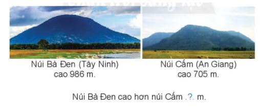 Bài 5 trang 84 Toán lớp 2 tập 2