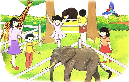 Bài 2: Vui học ở Thảo cầm viên