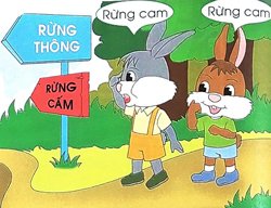 Bài 4: Chuyện hai chú thỏ