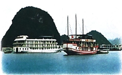 Bài 3: Nữ hoàng của đảo