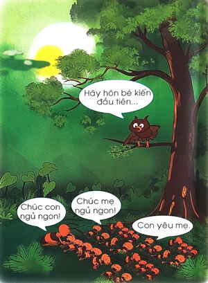 Bài 2: Ôn tập 2