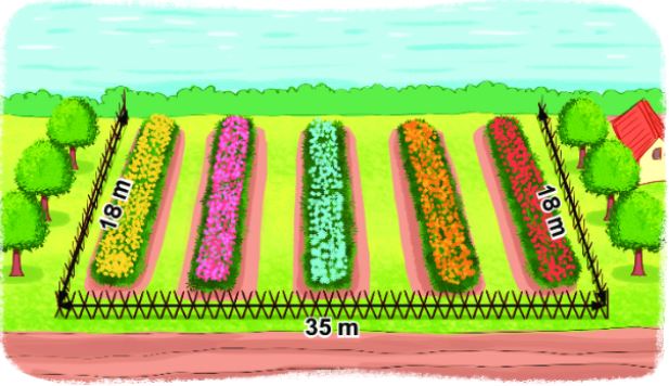 Bài 2 (trang 77 SGK Toán 2 tập 2)