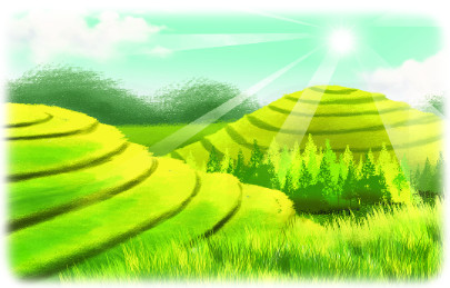 Bài 4 (trang 88 SGK Toán 2 tập 2)