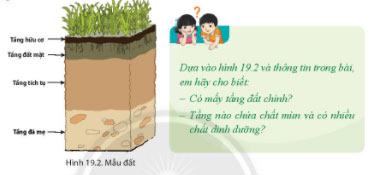Giải Địa lý 6 bài 19
