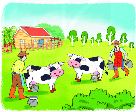 Bài 4 (trang 116 SGK Toán 2 tập 2)