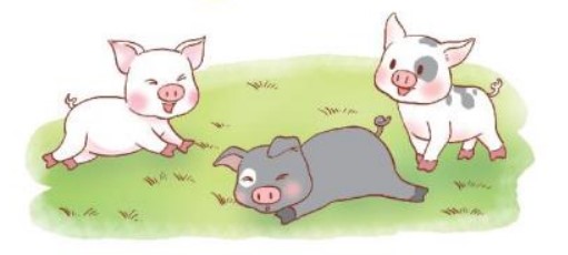 Bài 4 trang 8 Toán lớp 3 tập 1 SGK Kết nối tri thức