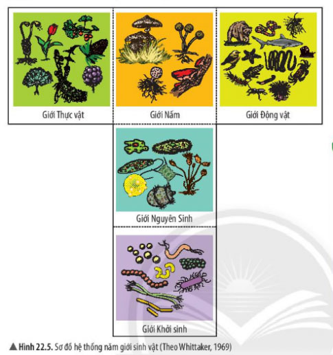 KHTN lớp 6 Hình 22.5