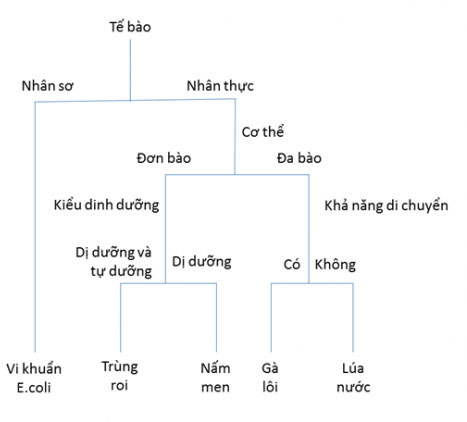 Giải KHTN lớp 6 bài 23