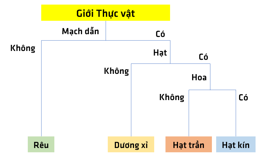 KHTN lớp 6 Bài 29: Thực vật