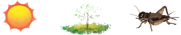 Bài 4: Ước mơ màu xanh