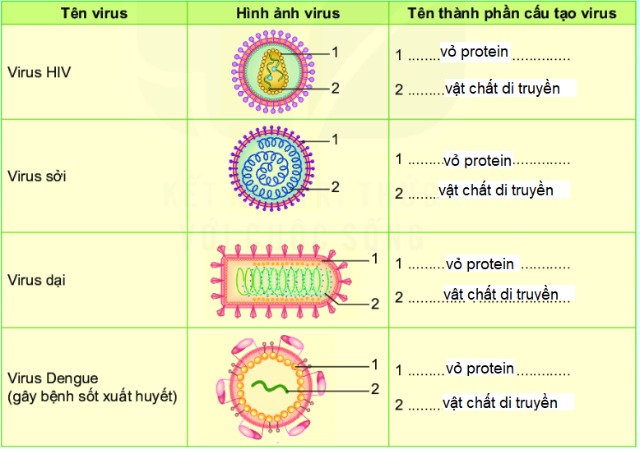 KHTN lớp 6 bài 29