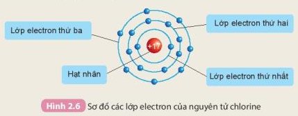Hình 2.6 SGK KHTN 7 kết nối tri thức