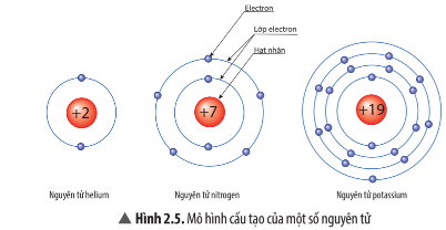 Hình 2.5 SGK Khoa học tự nhiên 7 Chân trời sáng tạo