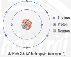 Hình 2.6 SGK Khoa học tự nhiên 7 Chân trời sáng tạo