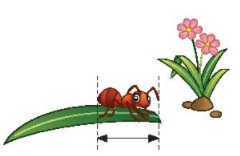 Bài 4 trang 22 Toán lớp 3 tập 1 CTST