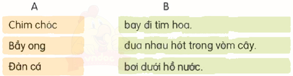 Bài 2: Về thăm quê - Luyện tập